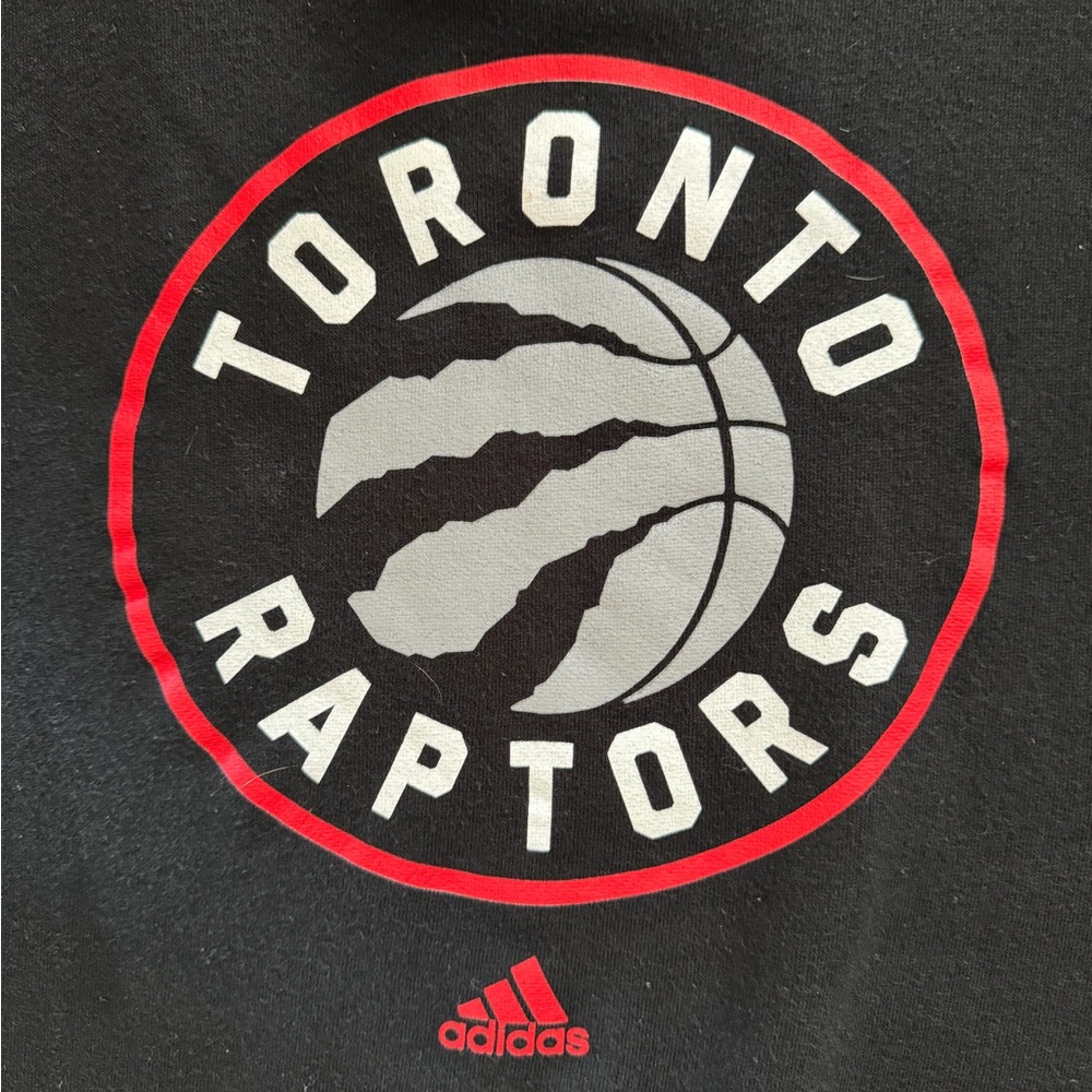 Toronto Raptors Hoodie - Picture 3 of 4